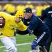Maize Team player Aaron Richards tries to get by Blue Team players during the alumni spring flag football game on Saturday, April 13. AnnArbor.com I Daniel Brenner